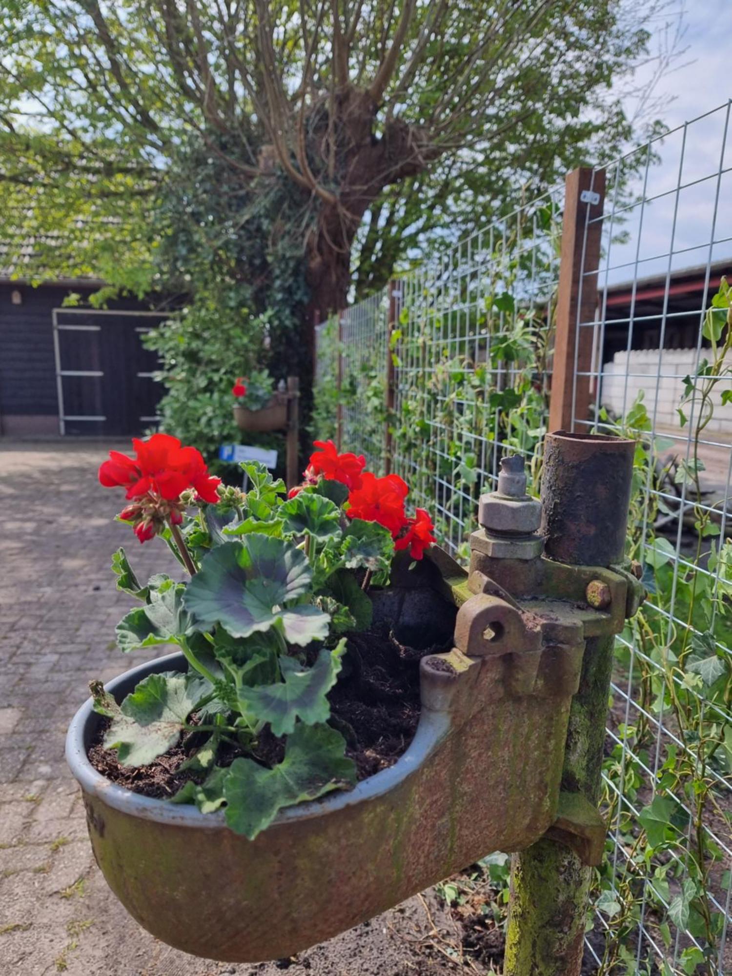 De Schotse Hooglander Bed & Breakfast Smilde ภายนอก รูปภาพ