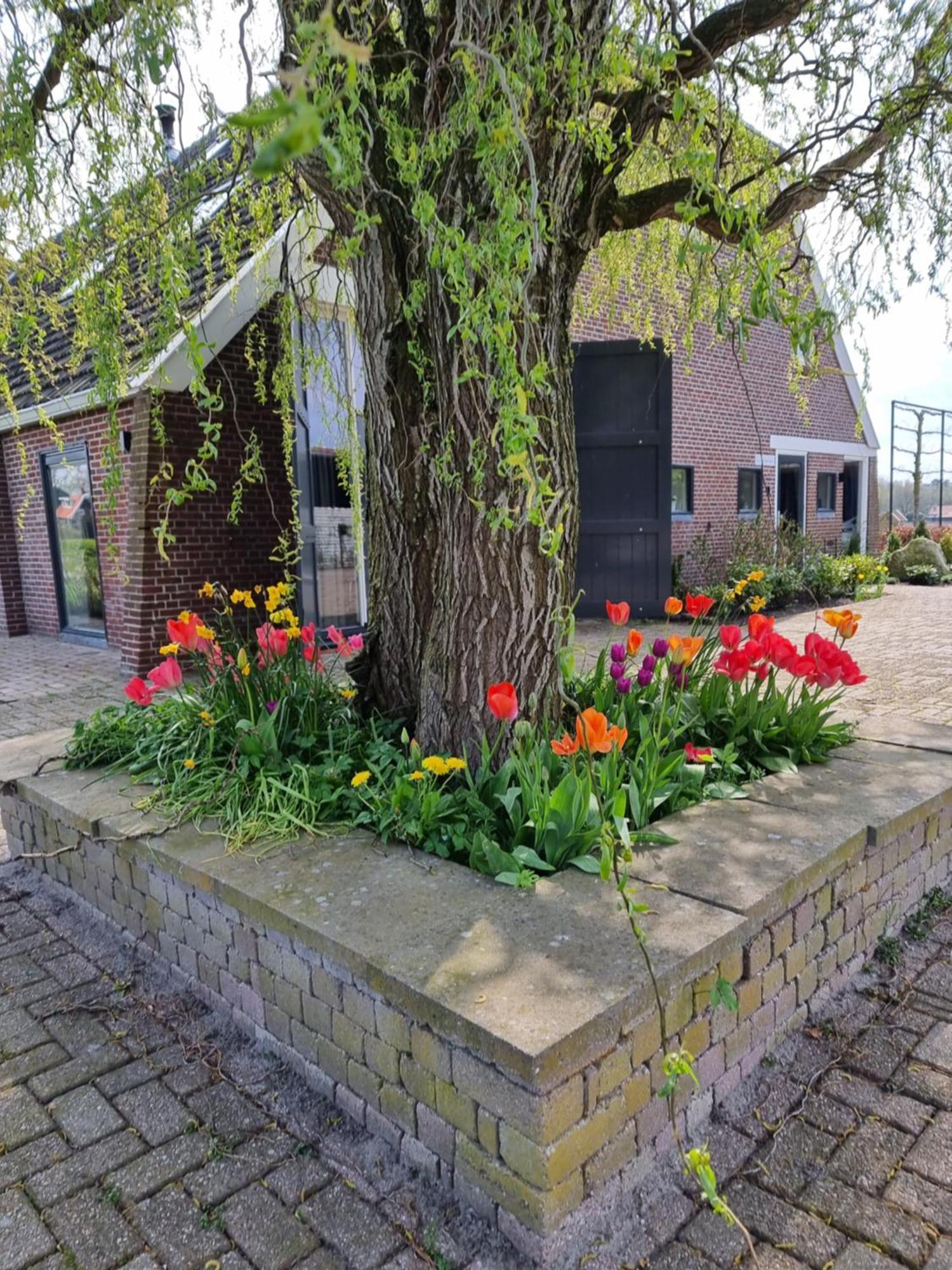 De Schotse Hooglander Bed & Breakfast Smilde ภายนอก รูปภาพ